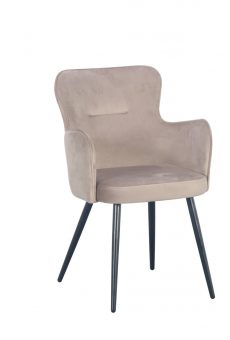 0003657_pole-to-pole-wing-chair-velvet-sand-white